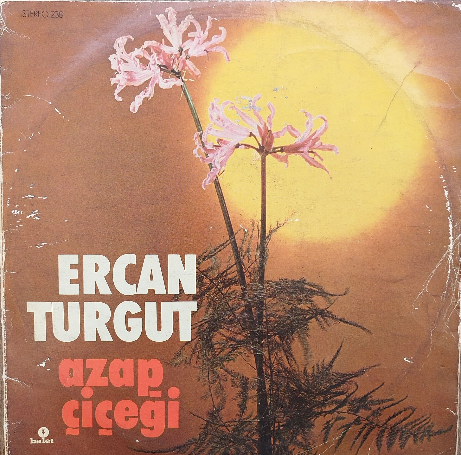 ERCAN TURGUT/AZAP ÇİÇEĞİ LP Plak
