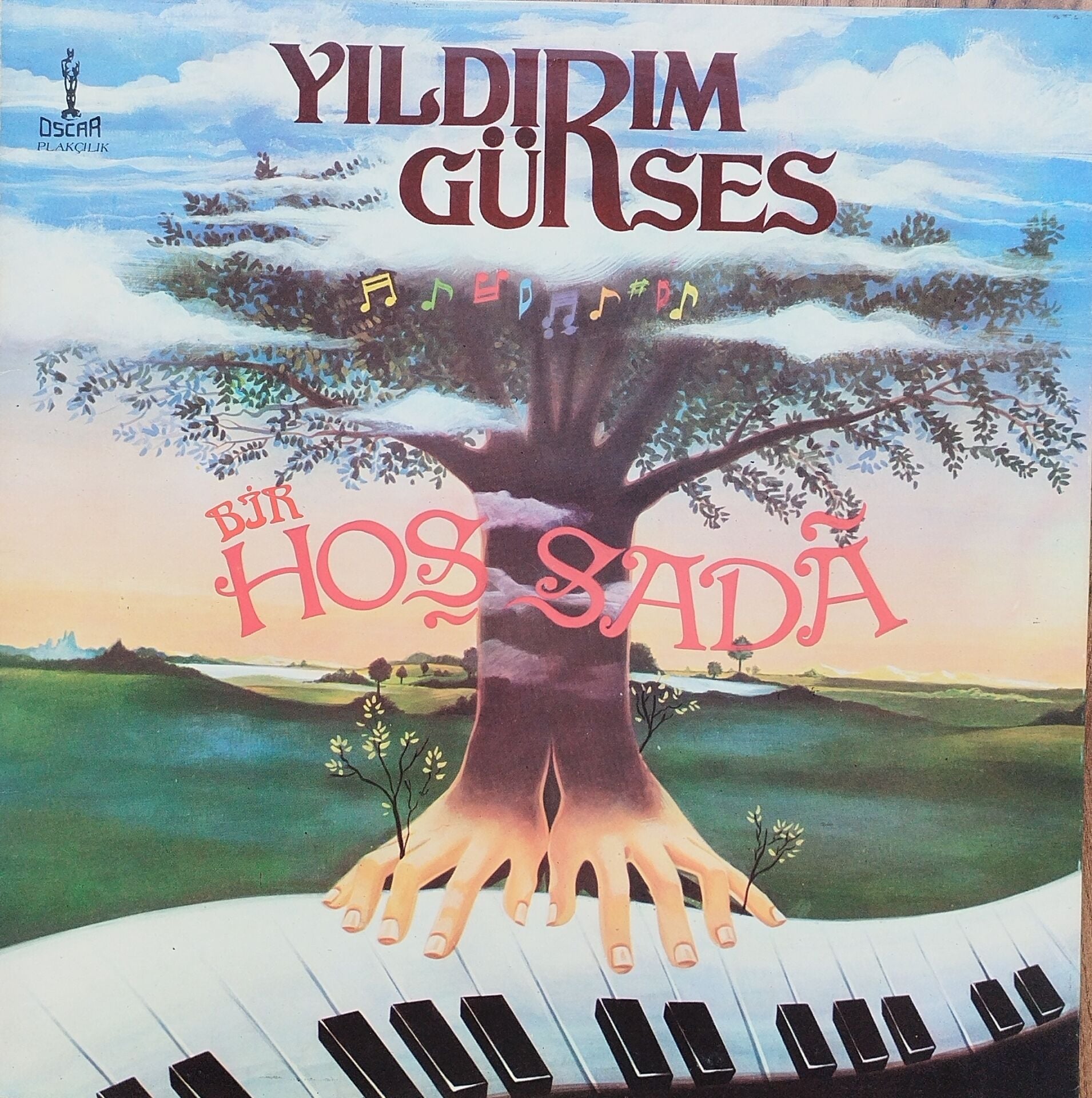 YILDIRIM GÜRSES-BİR HOŞ SADA Plak