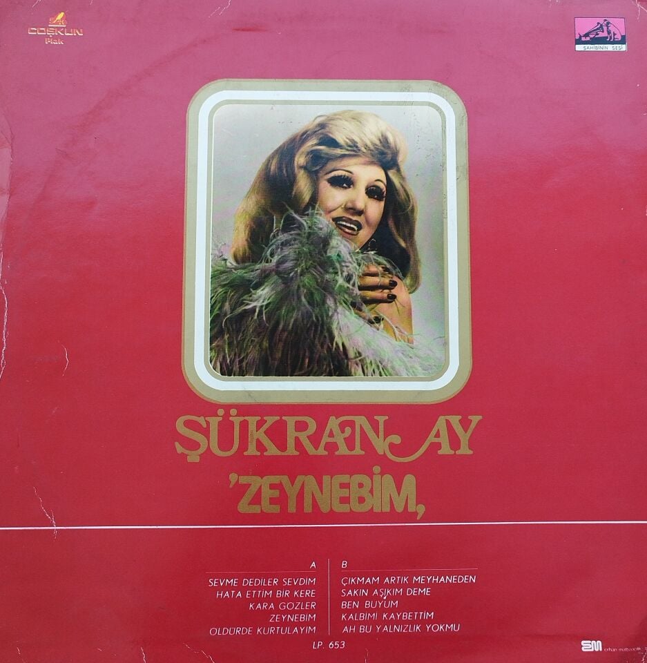 ŞÜKRAN AY-ZEYNEBİM LP Plak