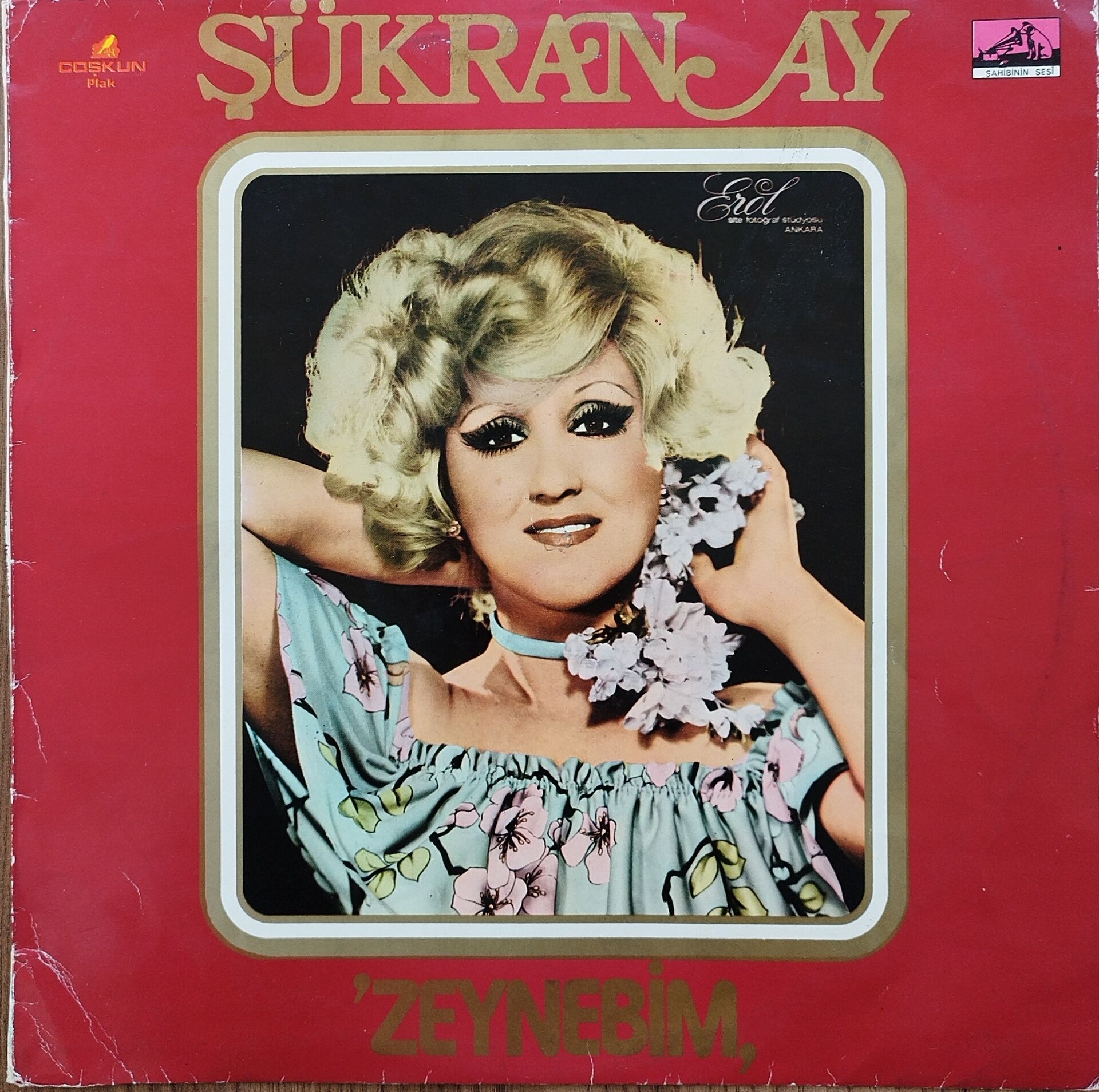 ŞÜKRAN AY-ZEYNEBİM LP Plak