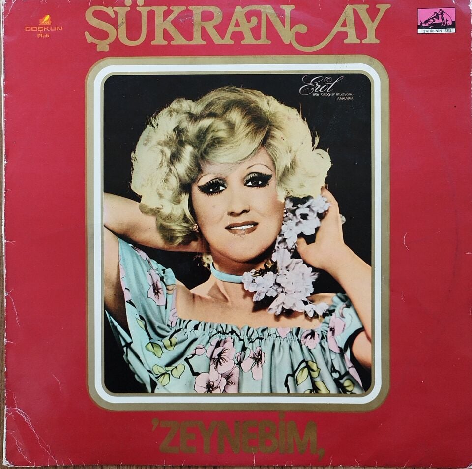 ŞÜKRAN AY-ZEYNEBİM LP Plak