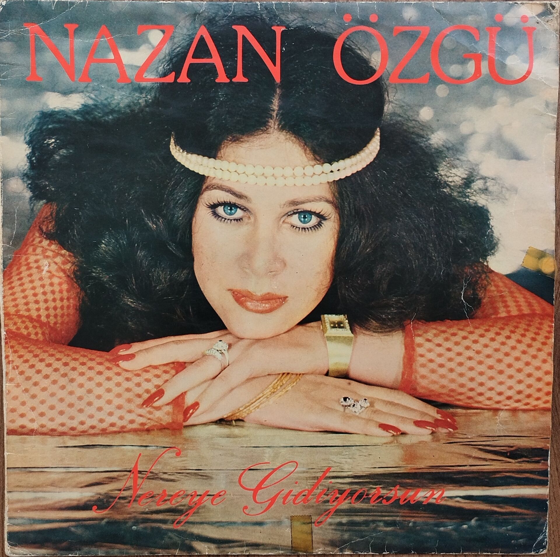 NAZAN ÖZGÜ-NEREYE GİDİYORSUN LP Plak