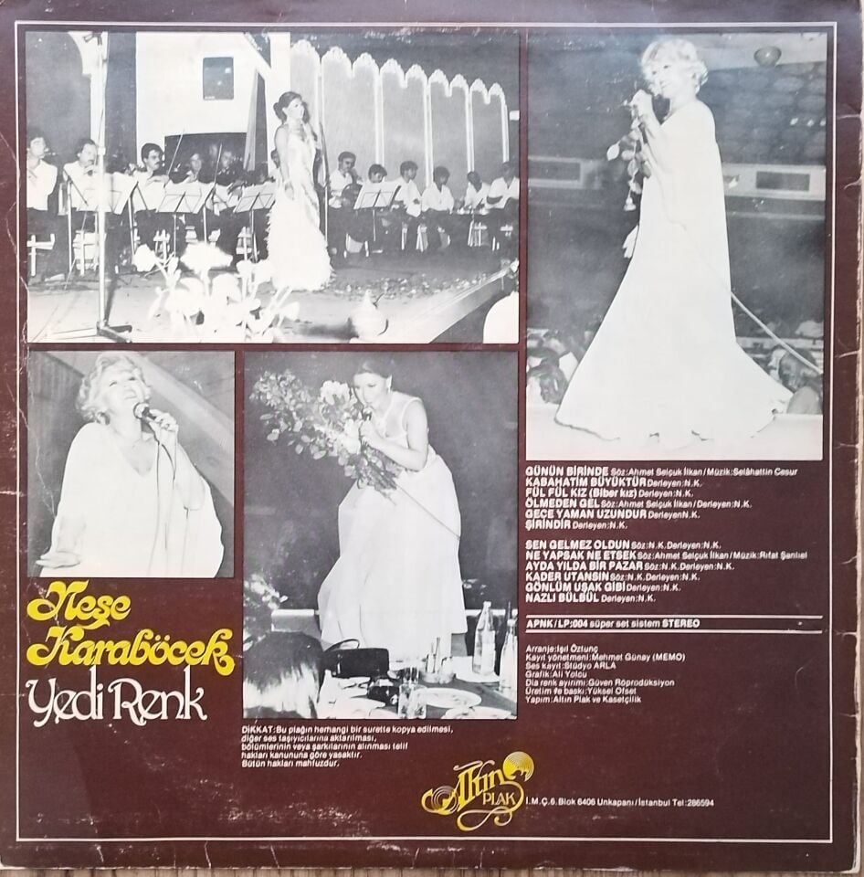Neşe Karaböcek – Yedi Renk LP PLAK